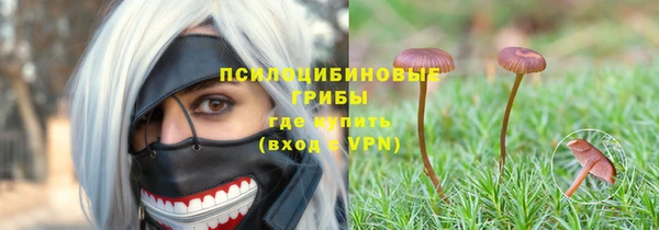 ALPHA PVP Аркадак