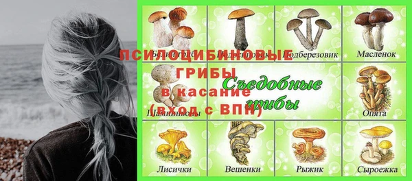 трава Армянск