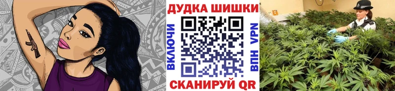 Бошки Шишки конопля  Кадников 